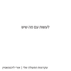 לעשות עם מה שיש - עקרונות הפעולה שלי | המשחק שלי - אורי ליכטנשטיין